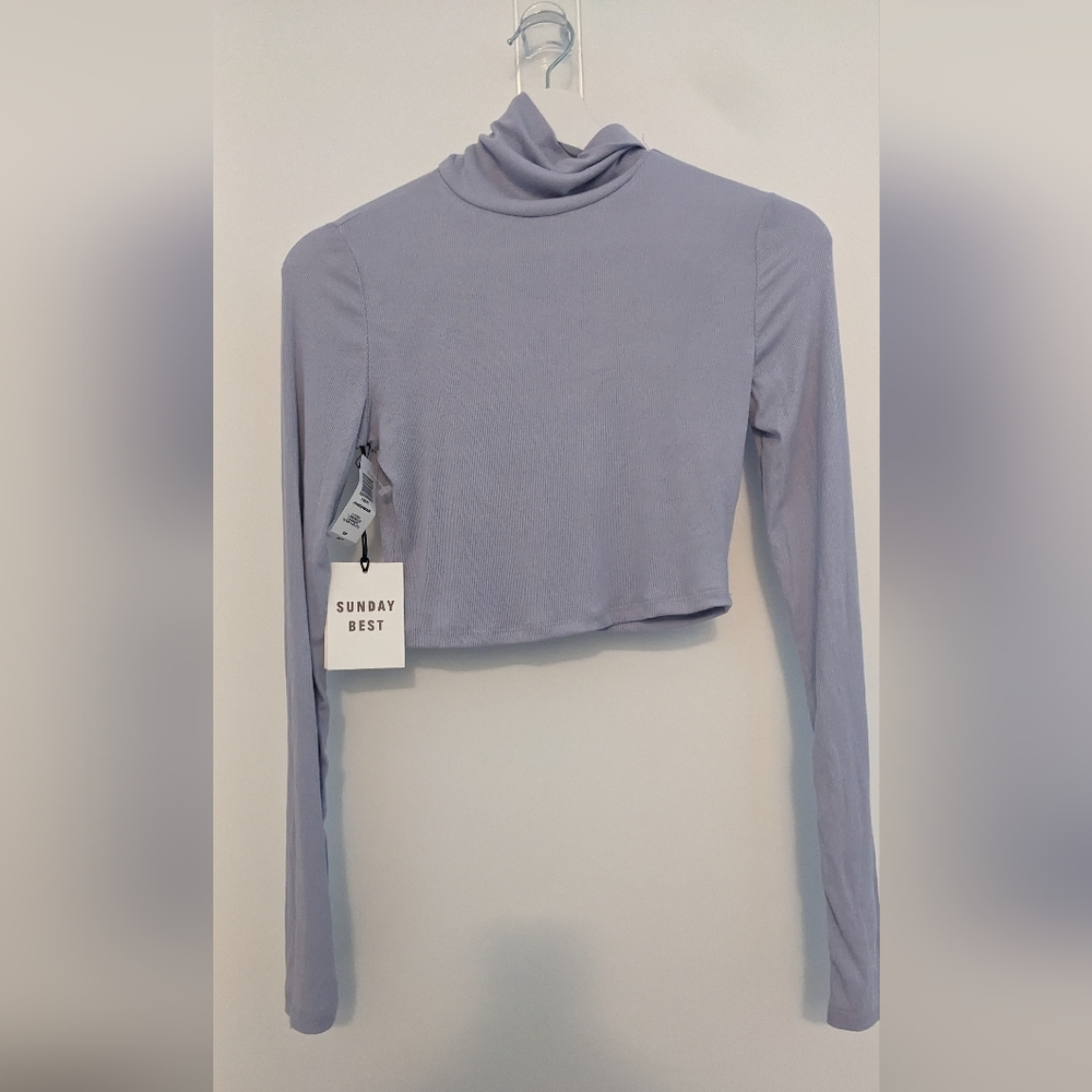 Aritzia turtle neck